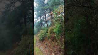 Üç Günlük Dünya İçin Ahiretini Satma Ey Ademoğlu