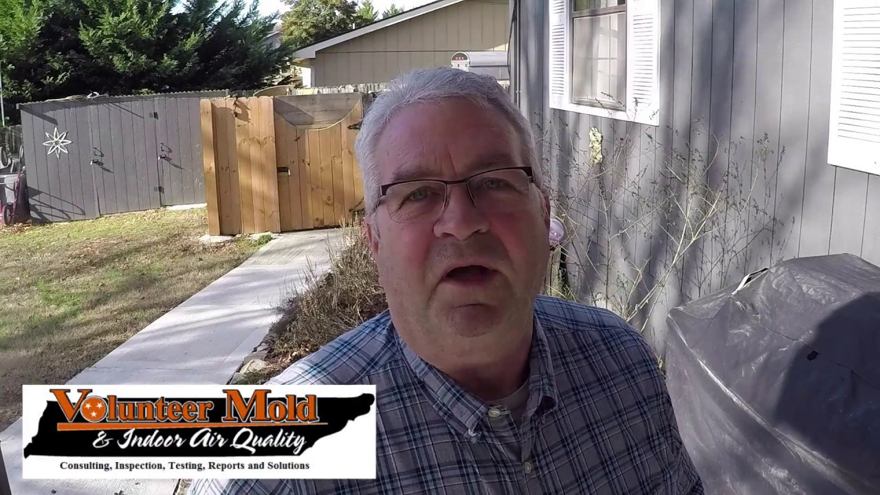 What is the Value of a Free Mold Inspection? Volunteer Mold