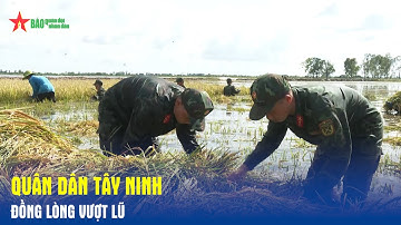 Quân dân Tây Ninh đồng lòng vượt lũ