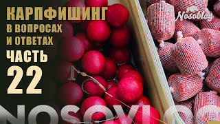 видео: Карпфишинг в вопросах и ответах, А  Колесников, выпуск 22 картинка: Карпфишинг в вопросах и ответах, А  Колесников, выпуск 22