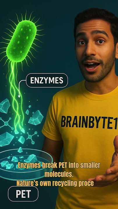 This Bacteria Eats Plastic—Could Save the Planet! 🧫 #shorts #facts #trivia #science