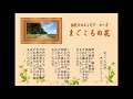 まごころの花/初代コロムビア・ローズ