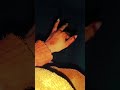 Teri yaadon ki sahare #handvideo #viralshortvideo #viralsong