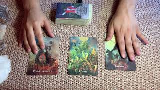 ¿Vuelve el pasado o viene alguien nuevo? Tarot Interactivo Amor