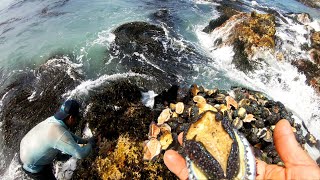 SACANDO MARISCOS del MAR, LAPAS, BARQUILLOS en la costa del pacifico sur - casi nos perdimos