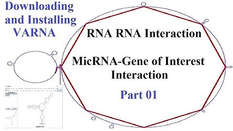 RNA RNA Interaction | Download and install #VARNA Software to 2D visualization Part 01
