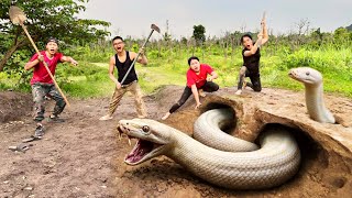 Experts Bravely Dig Up and Capture a Giant White Python