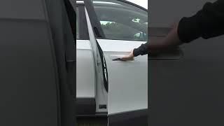 3 Ways To Open a VW ID.4 Door!