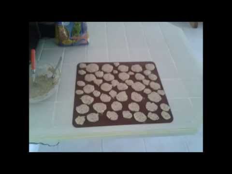 Recette  1 cookies pour sourishamsters et rats