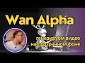 Wan Alpha - генерация видео на прозрачном фоне или зеленке + альфа-канал. Локально для ComfyUI