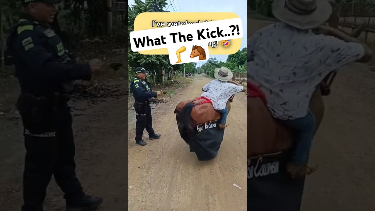 Now That’s a Kick with Style...! 🐴 