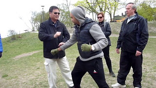 Sifu Lu Baochun of the Baji Association Finland teaching yang style applications in Stockholm screenshot 4