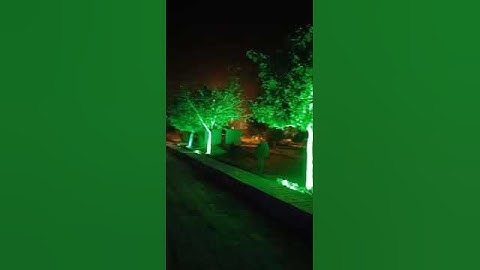 Siddharth university kapilvastu #siddharthnagar #viral #shorts