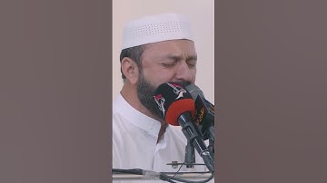 يا أيتها النفس المطمئنة | مقام النهاوند | سورة الفجر | القارئ سعيد طوسي Saeed Toosi 2024 #explore