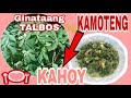 Ginataang talbos ng kamotengkahoy  lutong bicol by  nalyn arellagas tv