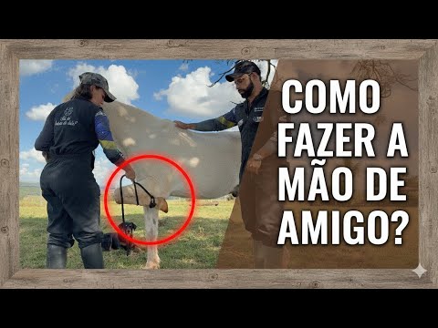 COMO REALIZAR A MÃO DE AMIGO EM EQUINOS - TÉCNICA EFICAZ