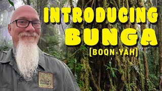 Download Lagu Introducing Bunga (Boon-YAH): One of the crown jewel residents of Realm Natura MP3
