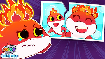 Cá mập con, con đang ở đâu?| Hành trình tìm con của cá mập mẹ | Hoạt hình thiếu nhi | Color Squad TV