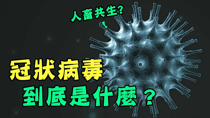 冠狀病毒到底是什麼？武漢肺炎為何這麼難以抵擋？ - 天天要聞