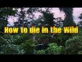 How to die in the Wild- S01_E02- Europe&#39;s forests- TRAILER