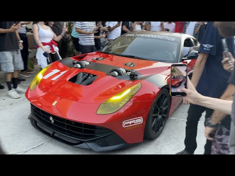 DAILY DRIVEN EXOTICS