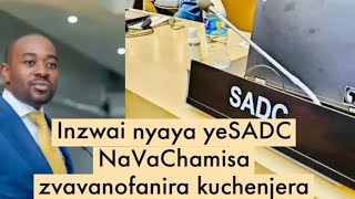 Inzwai nyaya yeSADC NaVaChamisa zvavanofanira kuchenjera