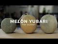 ¿Cuál es la fruta mas cara del mundo? Melón Yubari