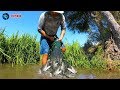 INCREÍBLE!!! PESCA de LISAS y PEJERREY con ATARRAYA ✔ Pesca con amigos