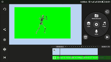 How to use chroma key (greenscreen effect) and video layer in kine master