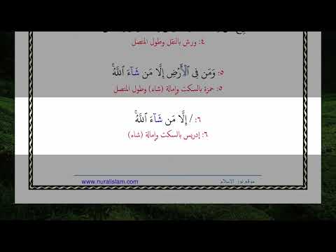 ويوم ينفخ في الصور ففزع من في السماوات ومن في الأرض إلا من شاء الله وكل أتوه داخرين 87 بالقراءات الع