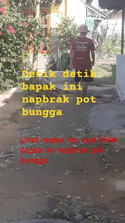 detik detik bapak baju merah napbrak pot bungga#shorts