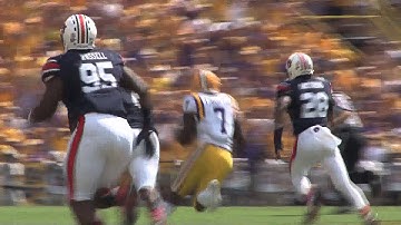 The Unsung Hero of LSU