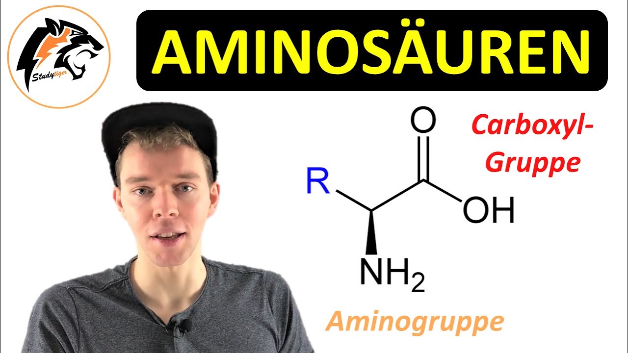 AMINOSÄUREN (Aufbau, Eigenschaften, Zwitterion) | Chemie Tutorial