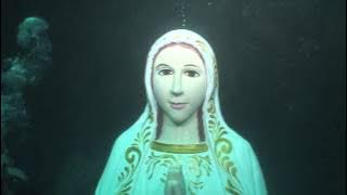 Its a Miracle Virgin Mary Statue Comes Alive Mother Mary Under Water