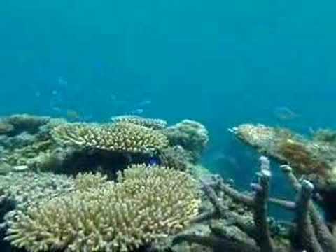 �Ί_���Č��̊C�̒�