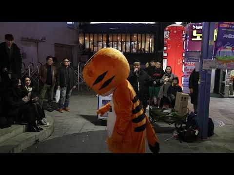 JHKTV] 홍대명물고양이 티티 hong dae special <strong>cat</strong> k <strong>pop</strong> dance TT