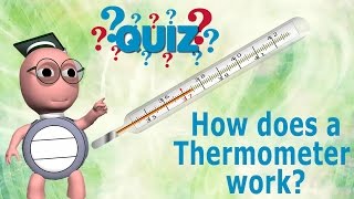 How Does A Thermometer Work? - Kids Video Show