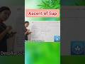 Ascent of Sap in Plants #ascentofsap #upwardmovementofwater #science #biology #deepikasciencecorner