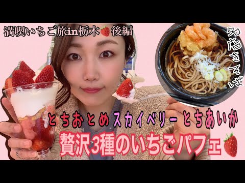 栃木自慢の3種のいちごパフェ&日本一の駅そば満喫コース！？in〜いわふねフルーツパーク〜