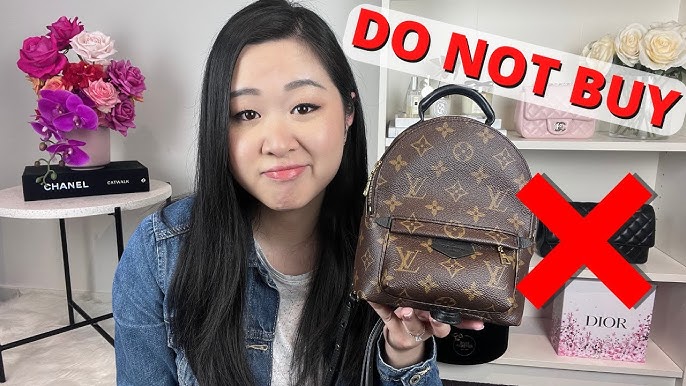 Real or Fake? Louis Vuitton Palm Springs Backpack – My Closet Rocks