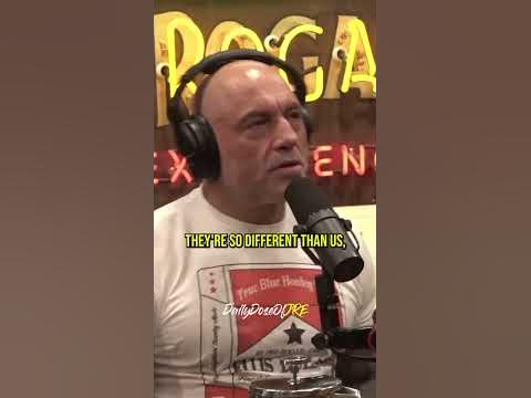 Joe Rogan on why CHIMPS are so TERRIFYING! #shorts #trendingshorts #
