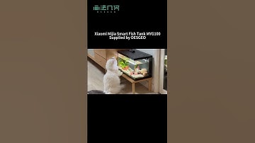 Smart Fish Tank Controlled by Mijia Mihome App #aquarium #fishtank #cats #smarthome #pets #fish