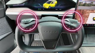 Tesla Removed the Stalks from the Model X. Teslaunch Put the Stalks Back On.