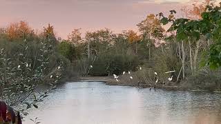 Barnstable Land Trust