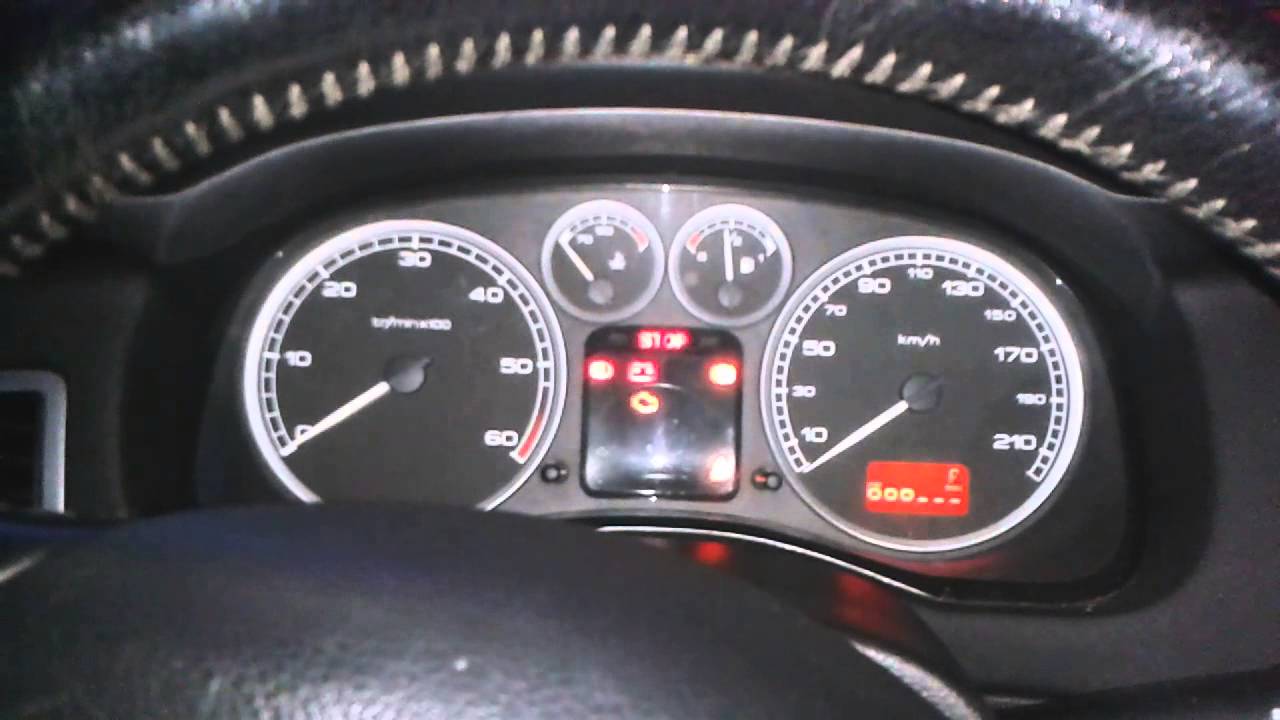 Peugeot 307 HDI 17 Celsius cold start. YouTube