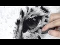 How To Draw A Realistic Animal Eye / Full Tutorial