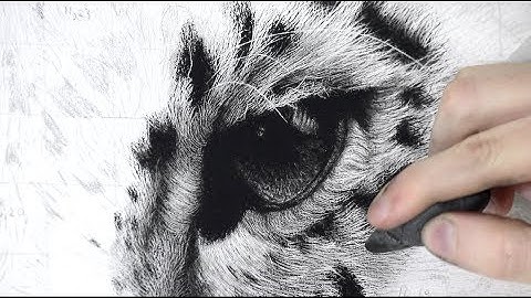 How To Draw A Realistic Animal Eye / Full Tutorial