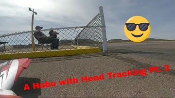 A Habu Head Tracker? Part 2