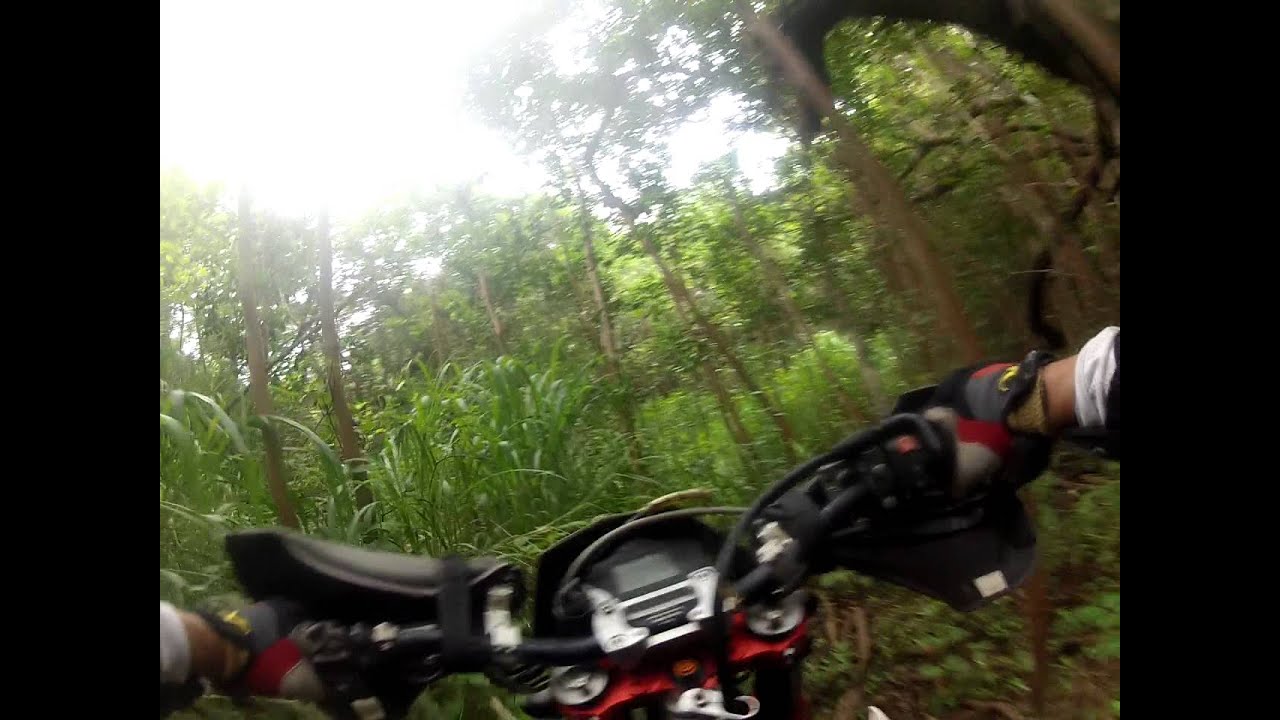 Street legal dirt bikes playing in the Oahu , Hawaii enduro bushes