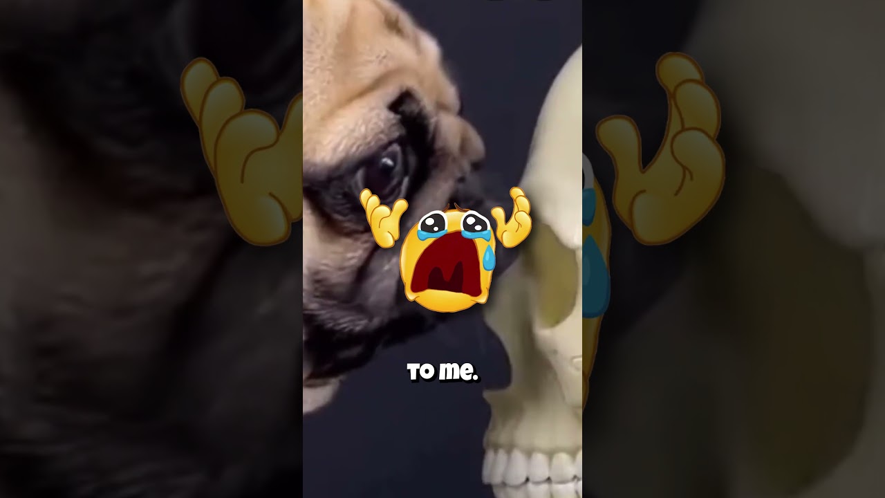 STRONGEST LICK!!!  #funny #memes